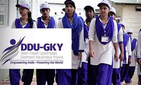 ddugky website.